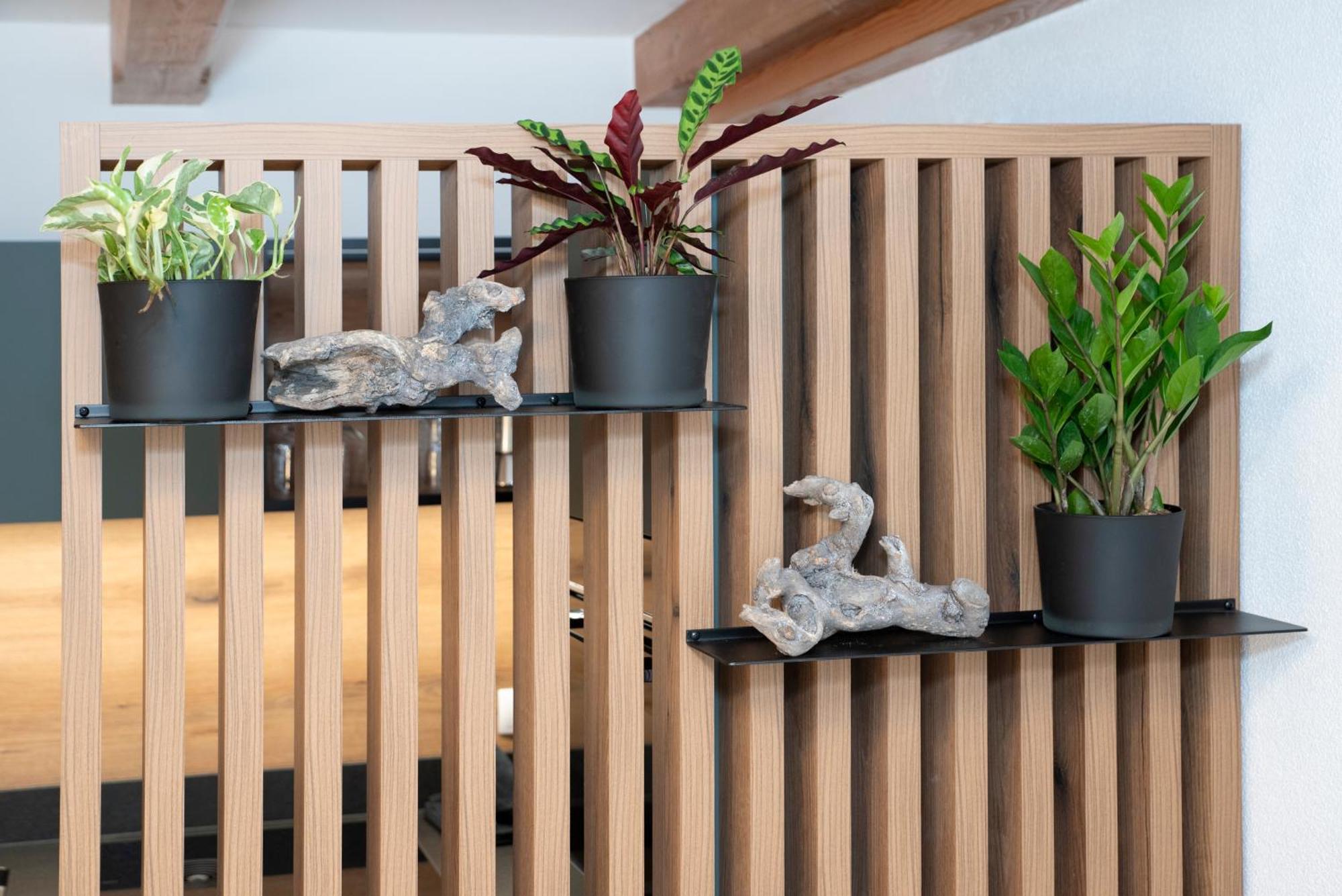 Natural Deluxe Apartments アルプバッハ エクステリア 写真