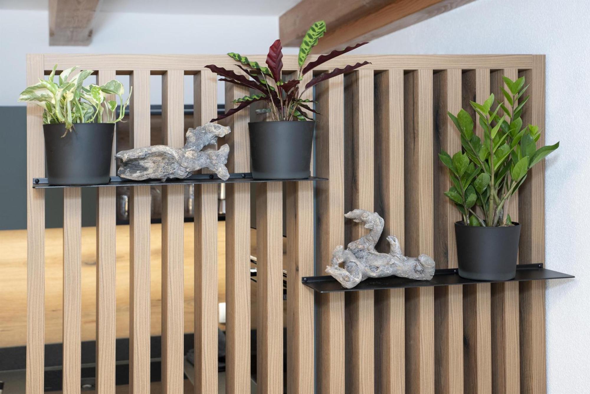 Natural Deluxe Apartments アルプバッハ エクステリア 写真